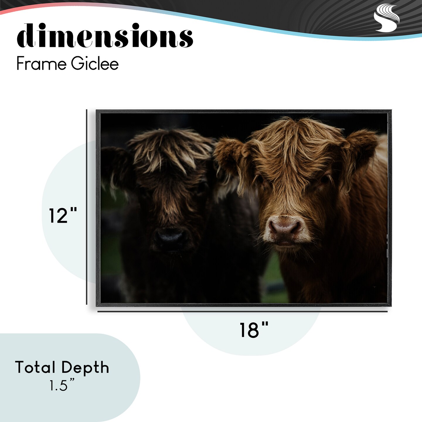 Stupell Industries Cow Faces Highland Pair Framed Giclee, design by Amy Carroll
