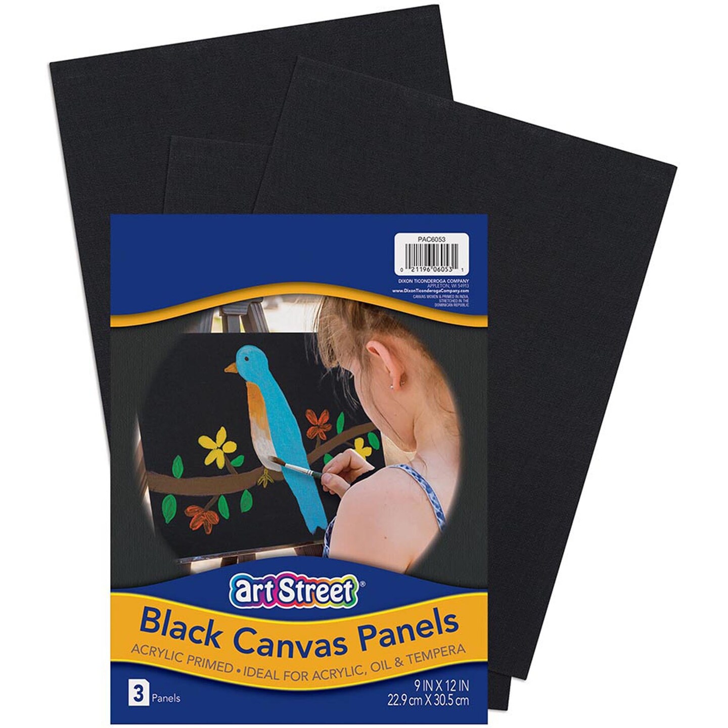 Canvas Panels, Black, 9&#x22; x 12&#x22;, 3 Panels