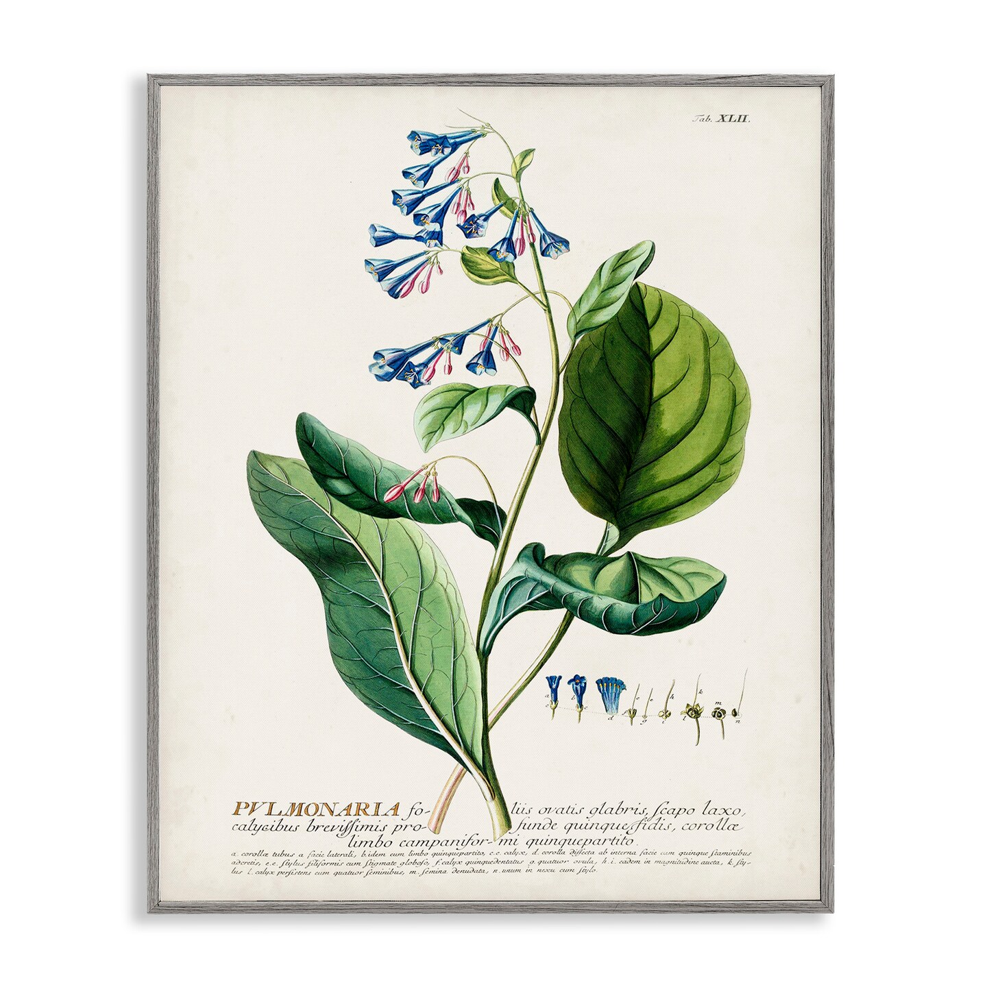 Stupell Industries Botanical Blue Flowers Vintage Design Framed Giclee Art