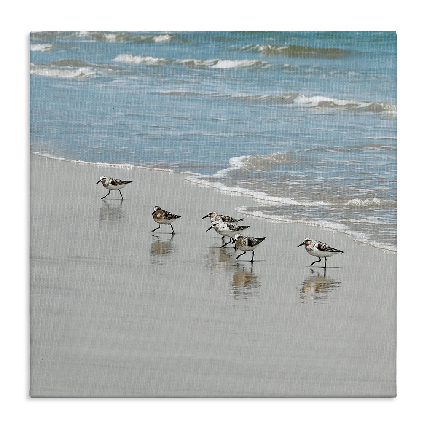 Stupell Industries Sandpipers on Shore Reflection Canvas Wall Art