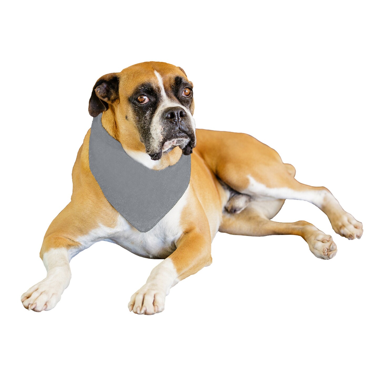 2-Pack Solid Polyester Dog Neckerchief Triangle Bibs - Extra Large