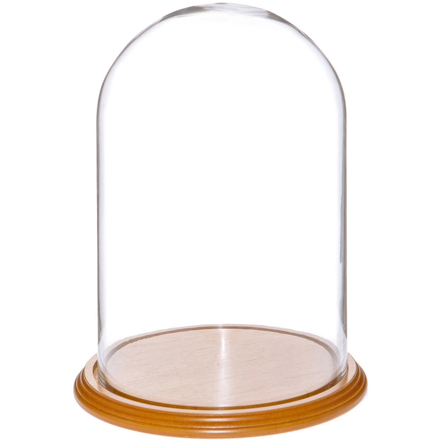 Plymor 8&#x22; x 12&#x22; Glass Display Dome Cloche
