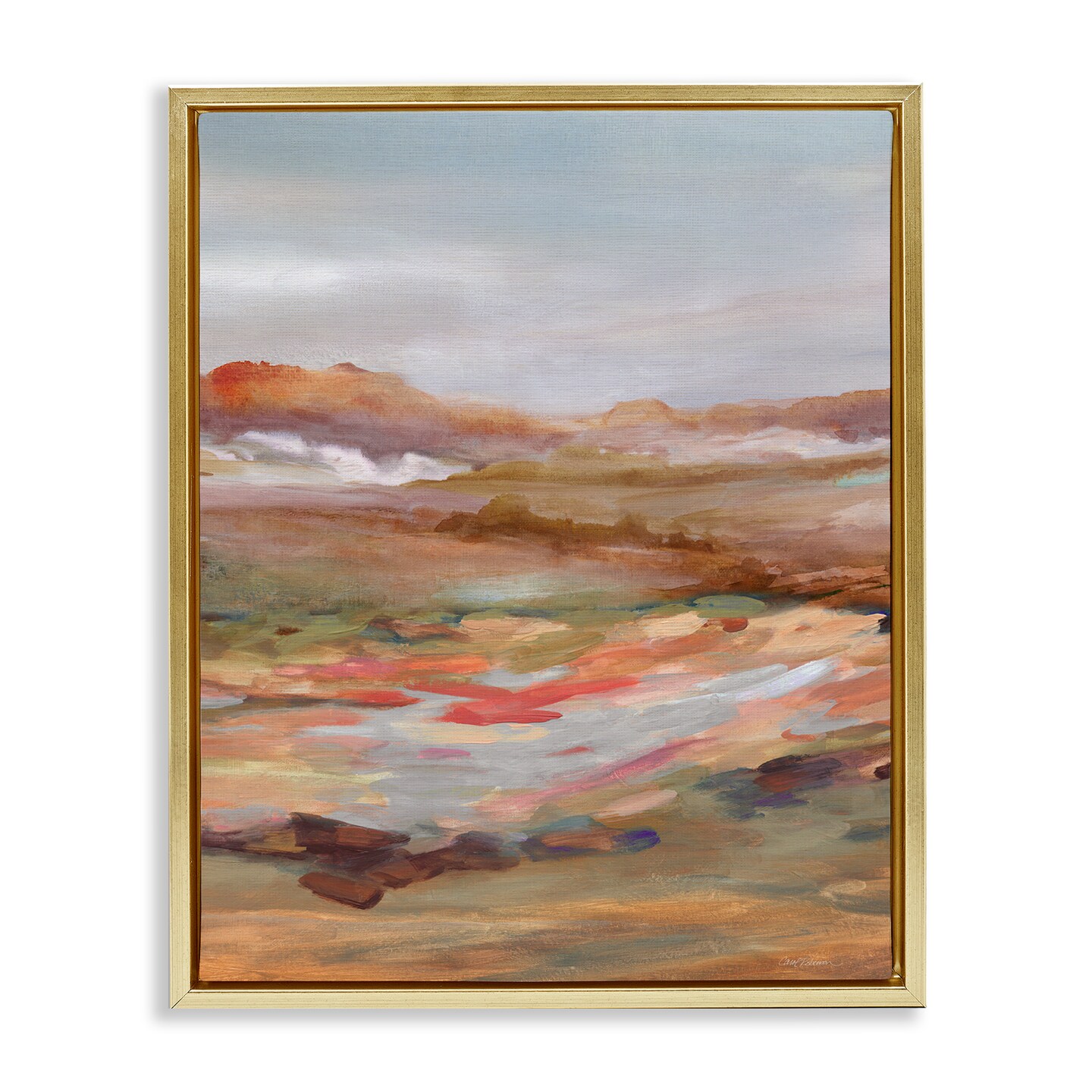 Stupell Industries Dynamic Abstract Desert Floating Frame Design by Carol Robinson