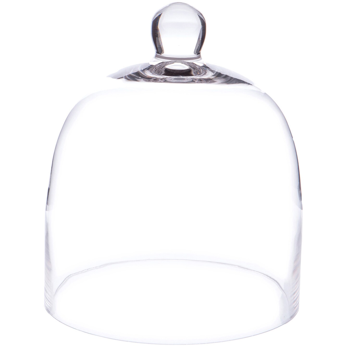 Plymor Bell Jar Glass Display Dome Cloche