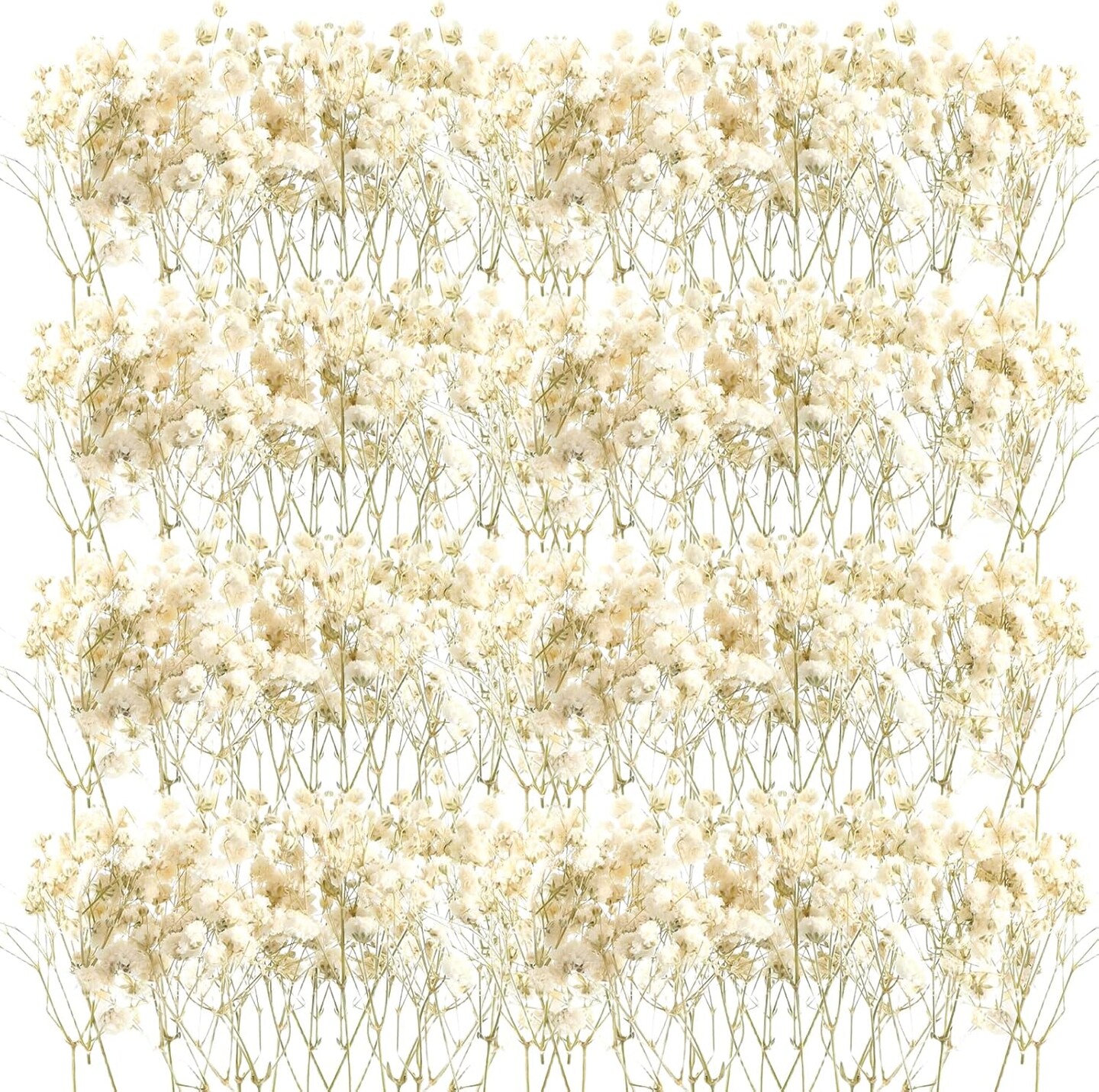 50 Pcs Mini Dried Baby Breath Flowers Wedding Ivory Natural Flowers Bulk Dried Gypsophila for Vase Brides Shower Invitation Card DIY Candle Making Decor Craft Party Resin Art, 2-4 in