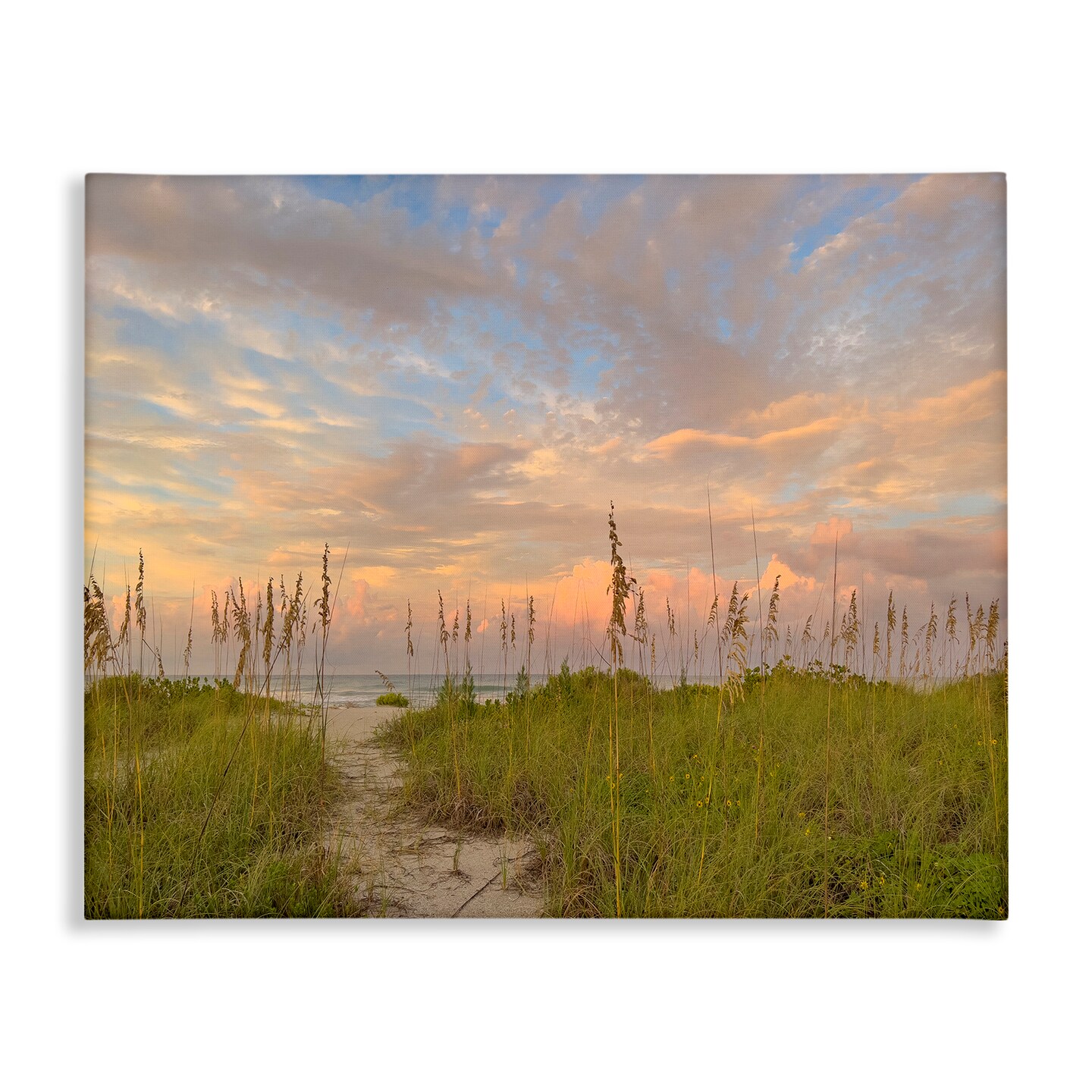 Stupell Industries Serene Coastal Path Grasses Canvas Design by Mary Lou Johnson