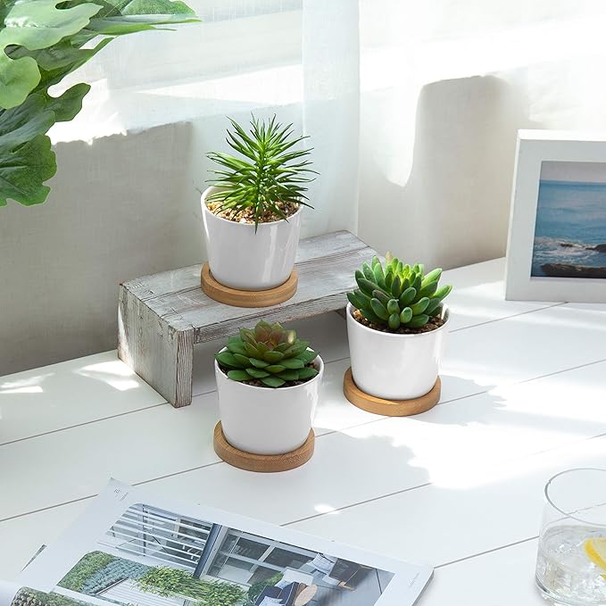 Assorted Artificial Succulent Plants - Decorative Fake Desert Plants with Pebble Fillers in White Ceramic Pots with Bamboo Saucers, Set of 3