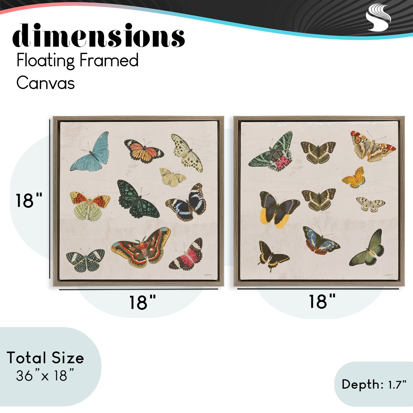 Stupell Industries Collection of Vintage Butterflies 2pc Floating Frame Set, design by Dan Meneely