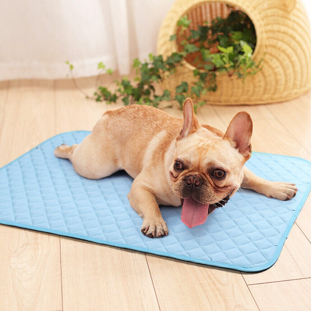 Pet Cooling Bed Mat for Dogs & Cats - 24x36 Inch Machine Washable Cooling Blanket, Portable Summer Heat Relief for Medium/Small Pets (Blue)