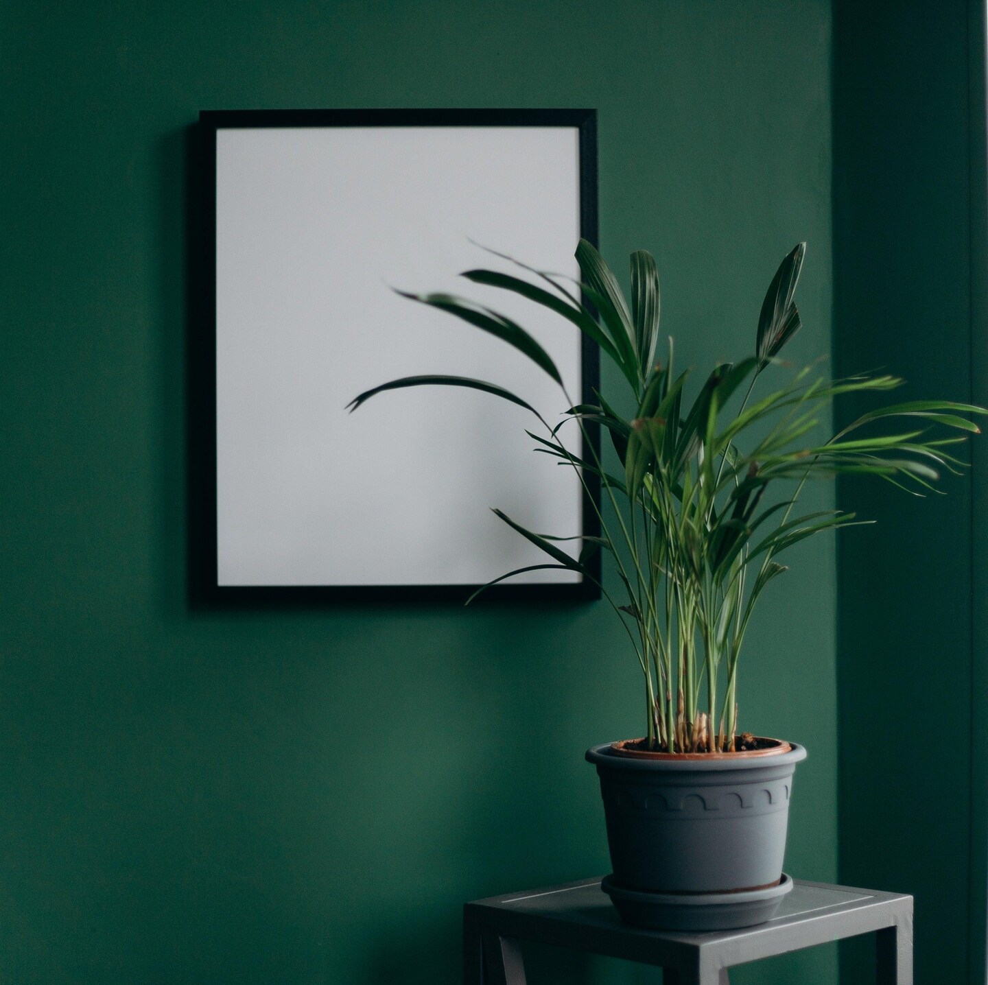 Black 20x30 picture frame wood 20x30 Poster Print 20 x 30 Frame 20x30