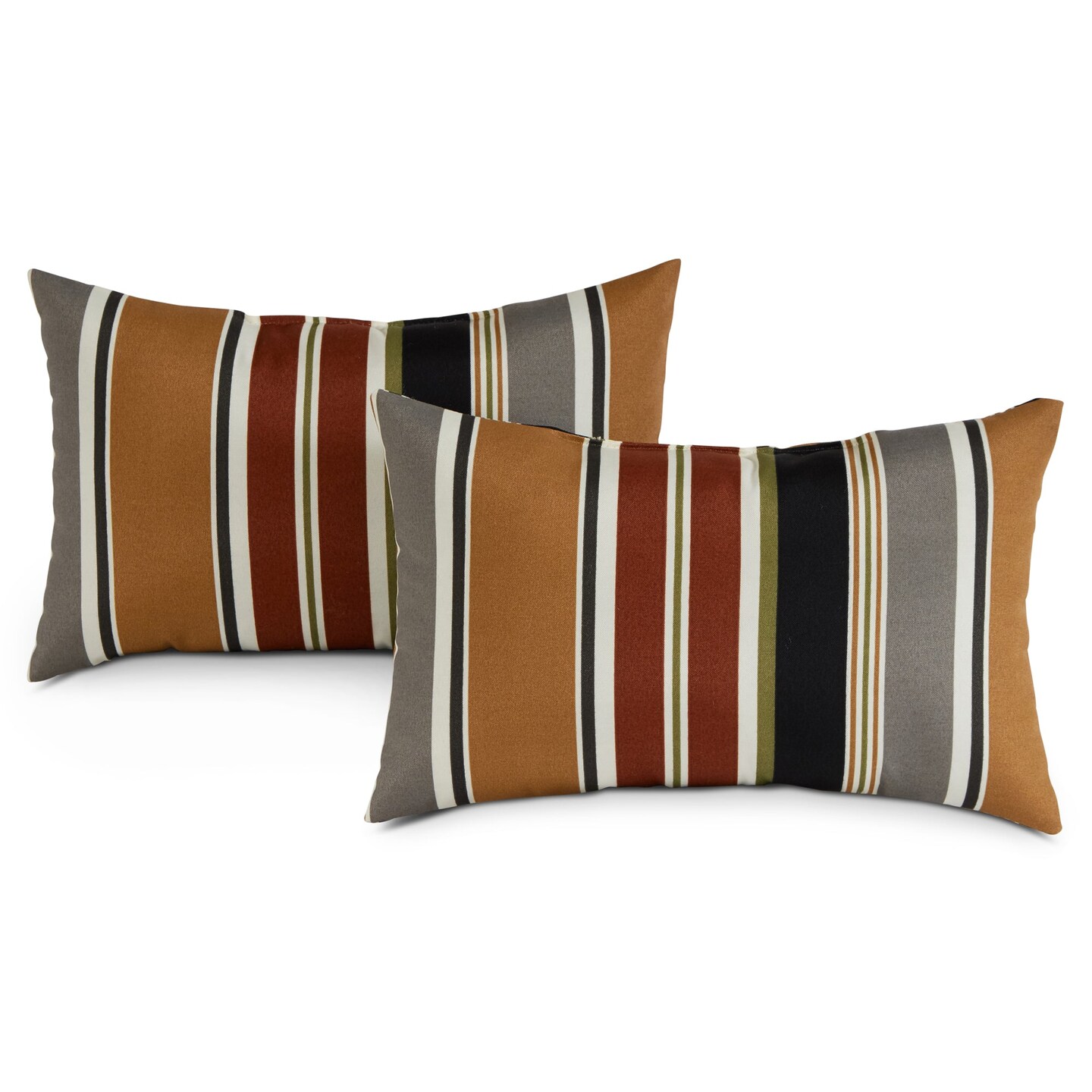 Outdoor 19 x 12 in. Rectangle Throw Pillow (2-Pack)