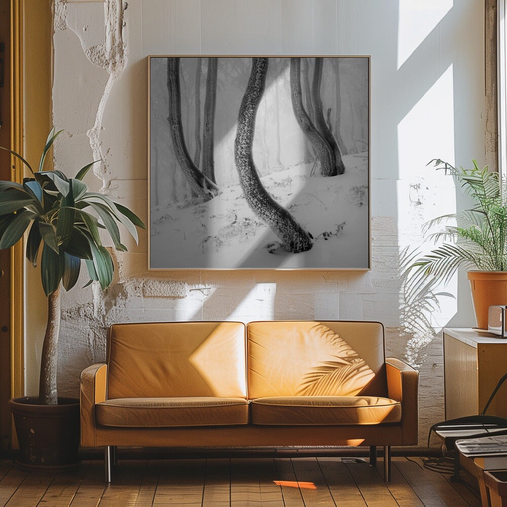 Frozen Forest Square Canvas Art | Modern Home Wall Decor 24x24 Canvas - Corporate Office Art