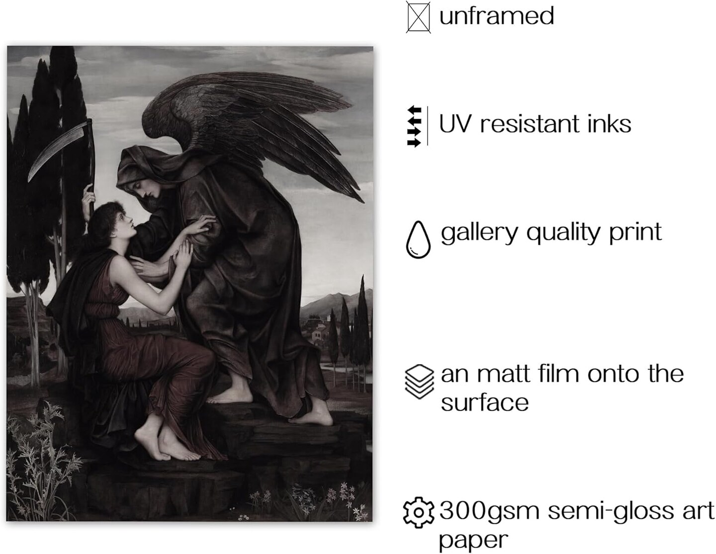 12Pcs Dark Academia Decoe