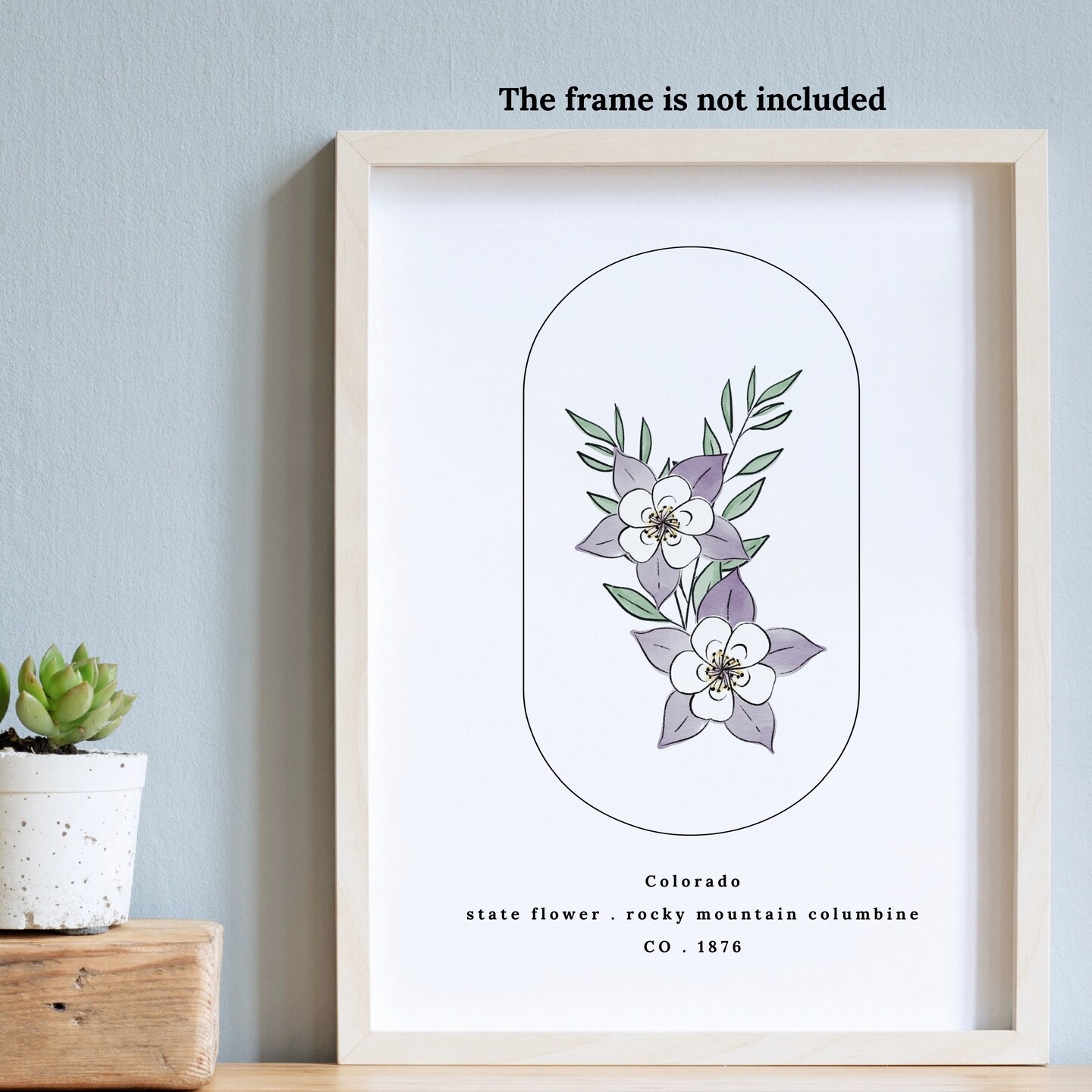 Colorado Rocky Mountain Columbine US State Flower Print | Unframed