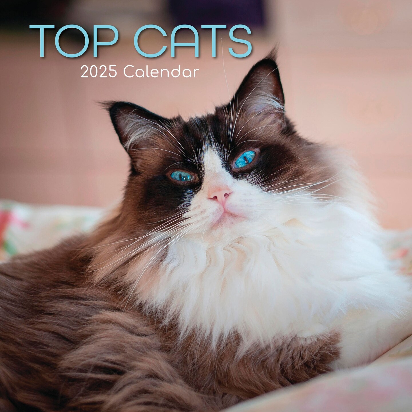 2025 Square Wall Calendar, Top Cats, 16-Month Animals Theme with 180 Reminder Stickers (12 x 12 In)
