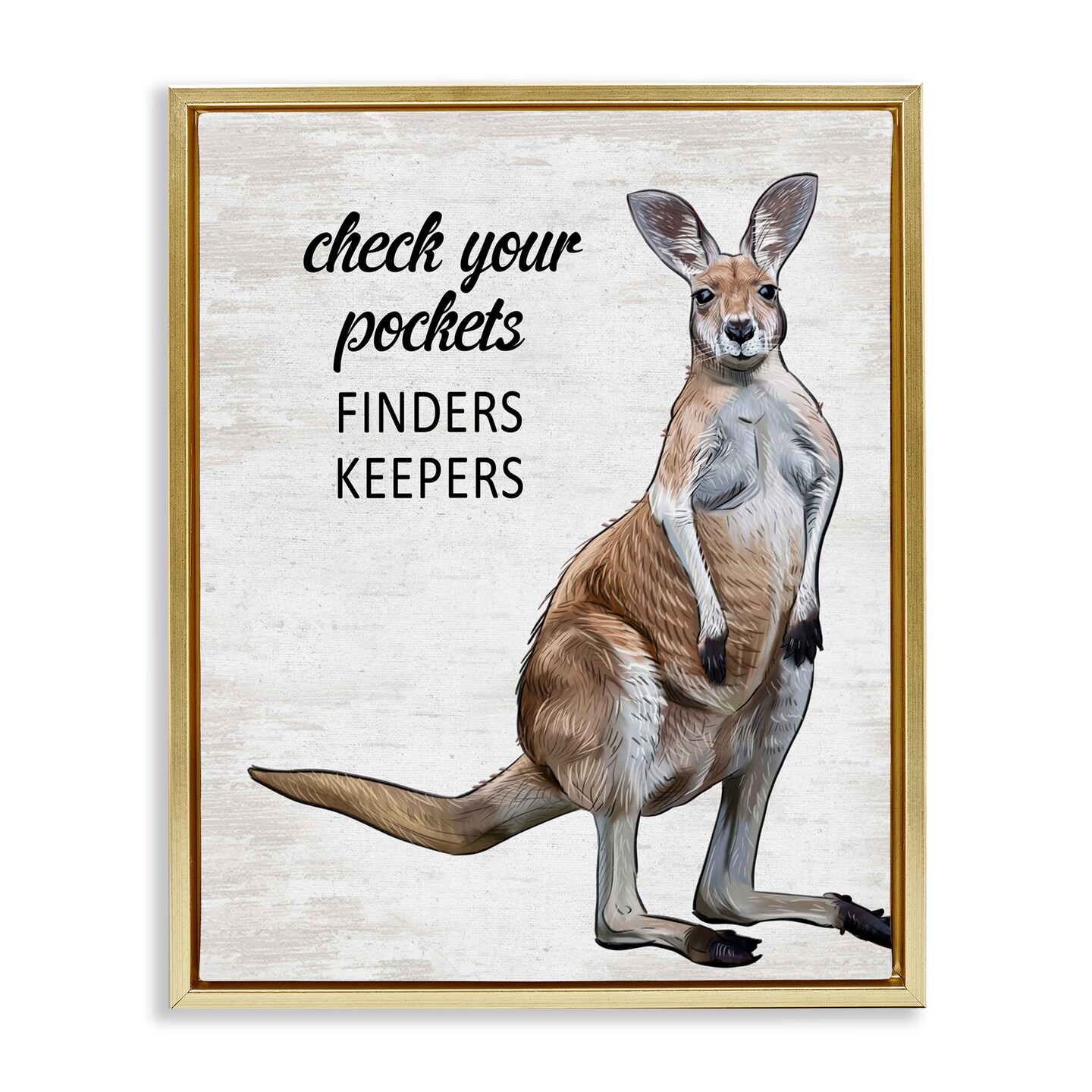 Stupell Industries Check Pockets Laundry Rule Floating Frame Design by Lettered and Lined