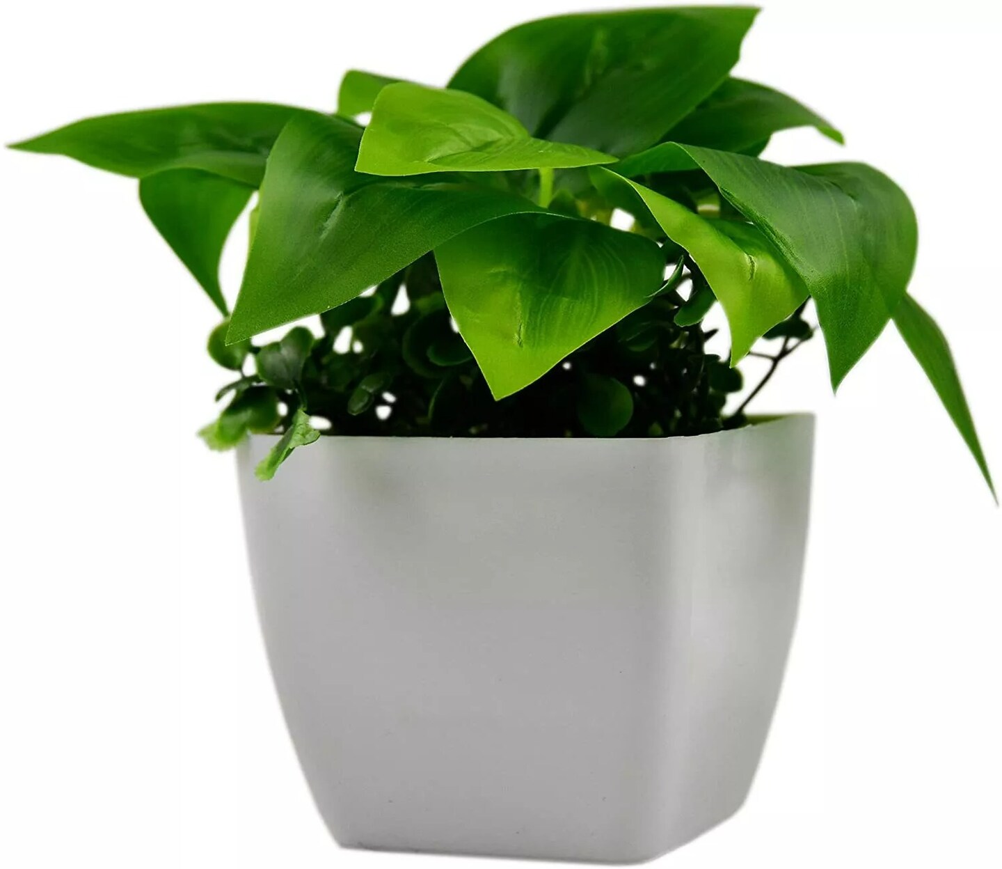 Artificial Plants Pack of 3 Scindapsus aureus Sweet Potato Leaves (Plastic Pot)