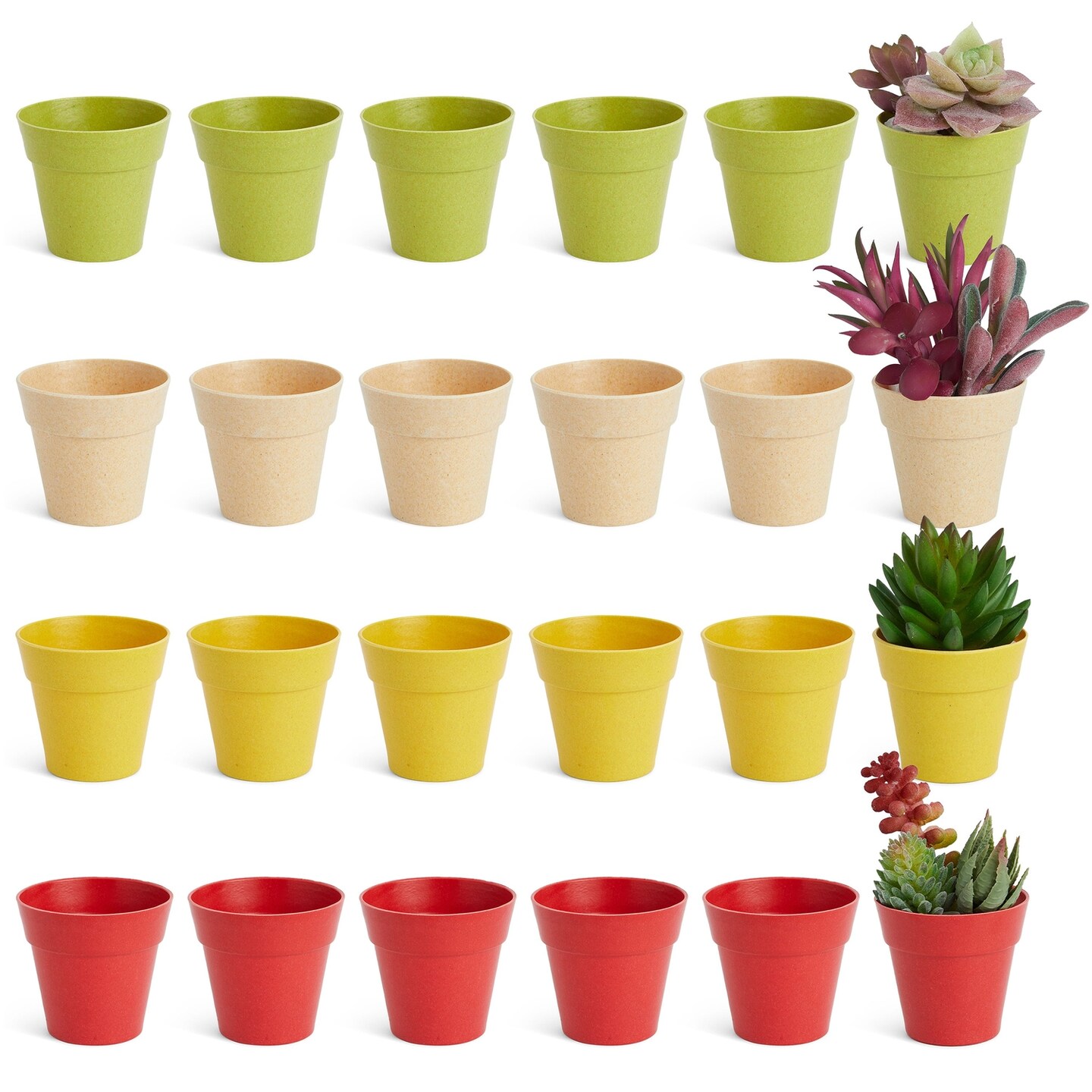 24 Pack Tiny Plastic Pots for Plants 1.5 Inch, Mini Planters for Flowers, Succulents (4 Colors), 6.4*6.4*5.7CM