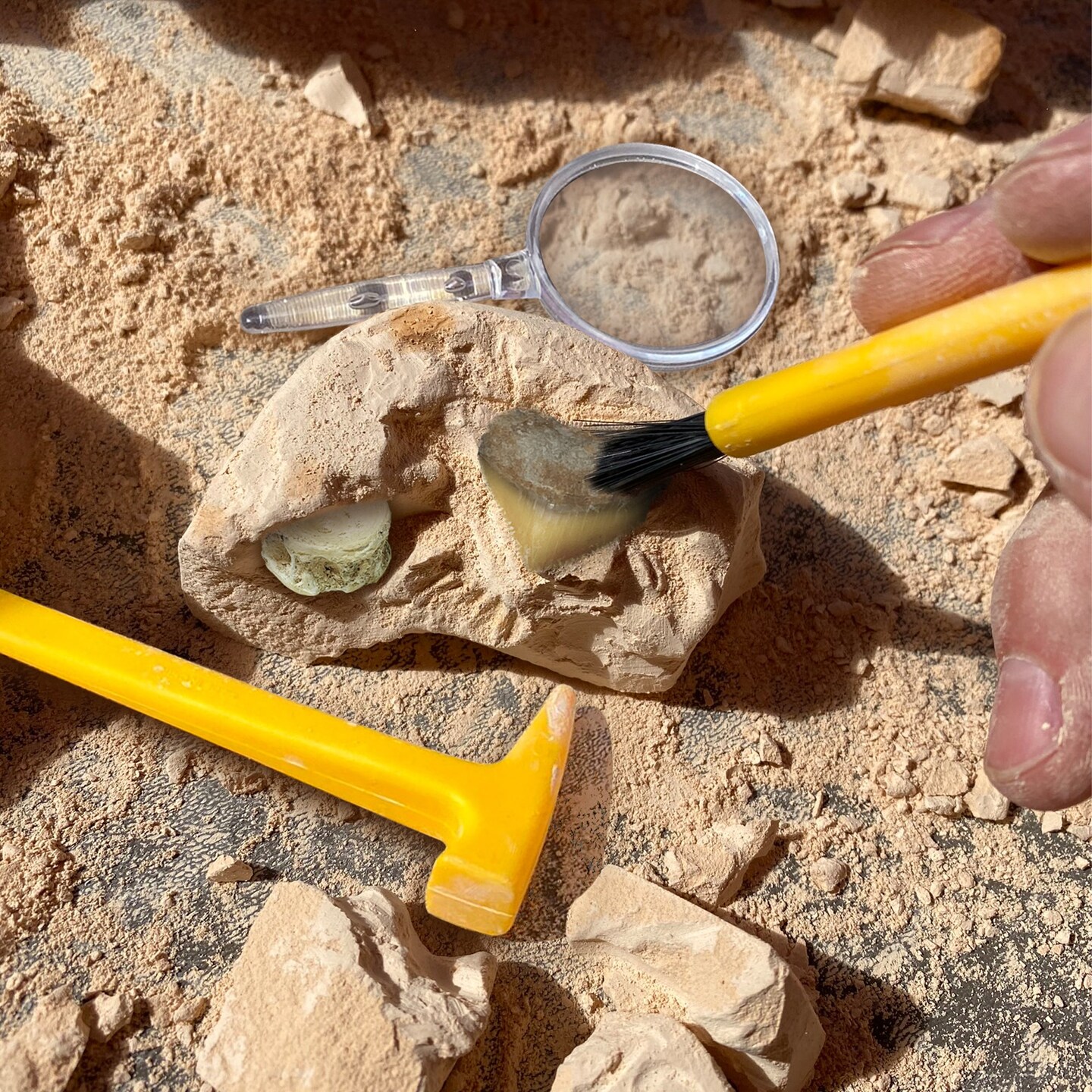 GeoSafari&#xAE; Jr. Fossil Excavation Kit