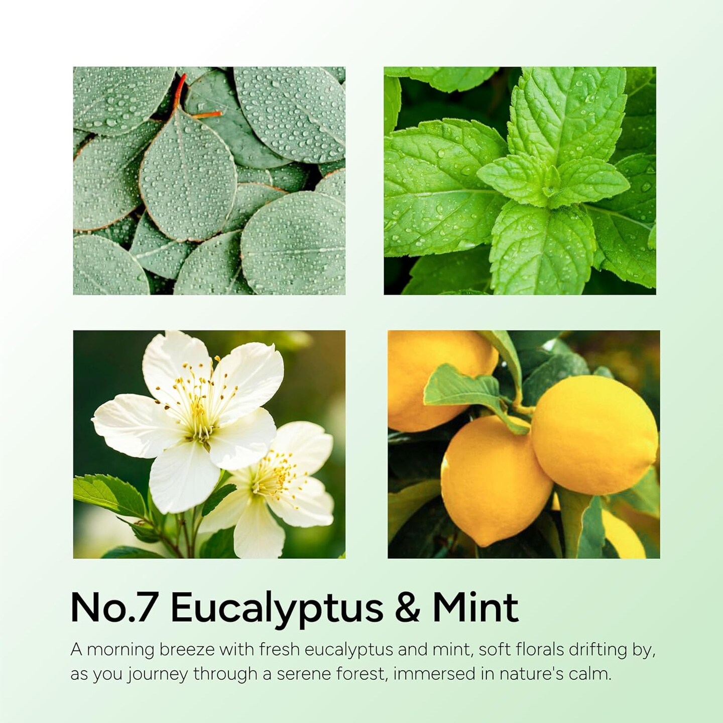 Eucalyptus & Mint Scented Candle, 11oz Aromatherapy Soy Wax Candles for Home Scented, Long Lasting, Eucalyptus & Mint Scent Gift for Home, Women, Men, Friends, Stress Relief, Meditation