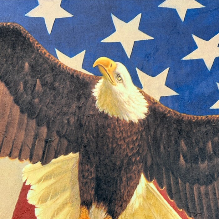 Patriotic Eagle Soars Silky Premium Fleece No-Sew Throw Fleece Fabric Kit (50x60)