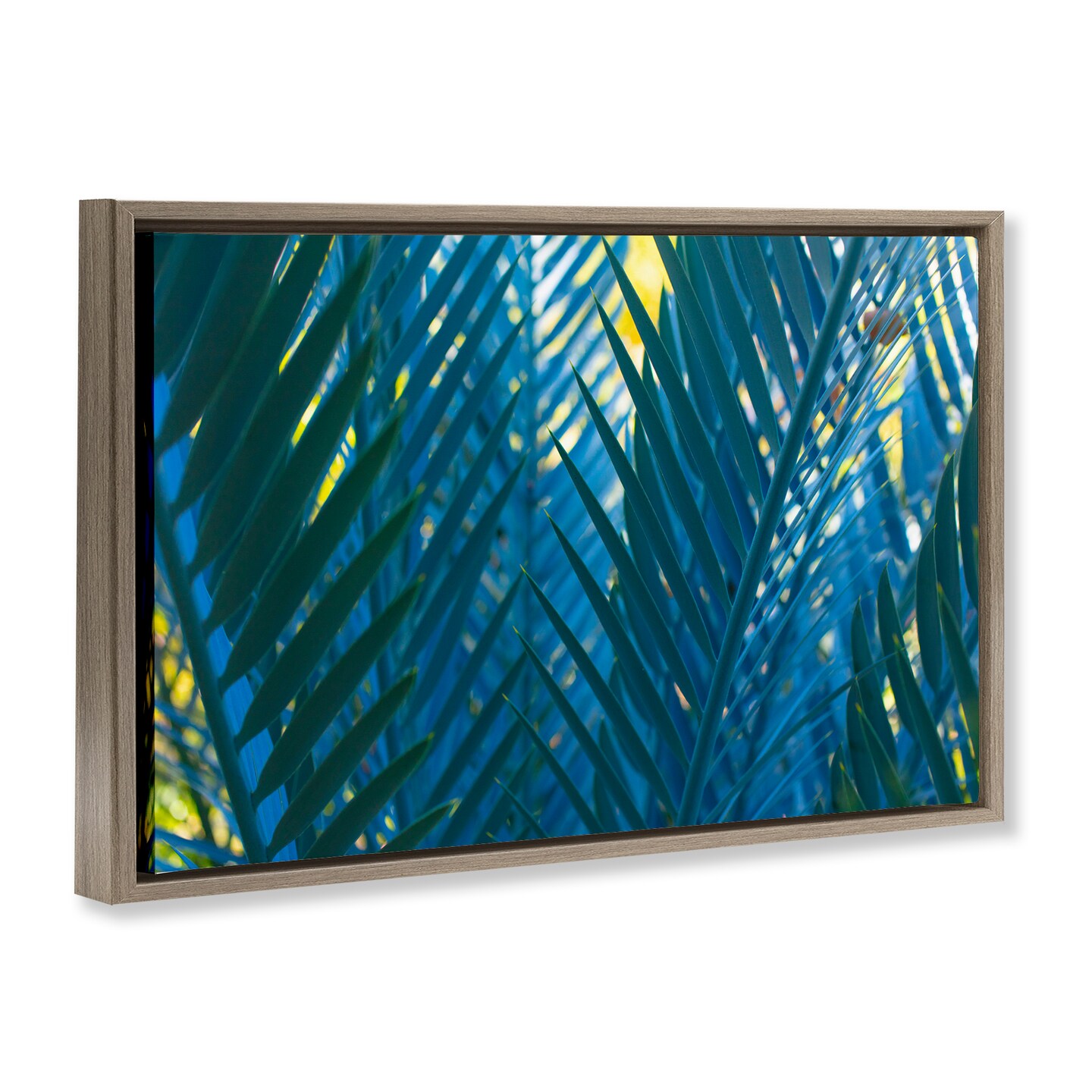 Stupell Industries Blue Palm Fronds Framed Floater Canvas Wall Art Design by Carol La Barge