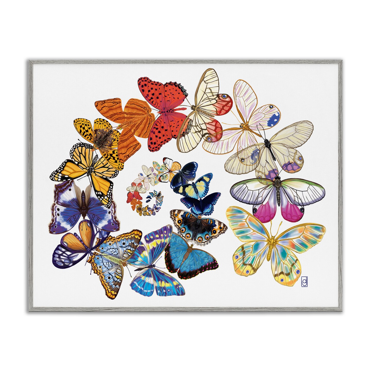 Stupell Industries Flying Butterfly Spiral Framed Giclee Wall Art Design by Ann Jasperson