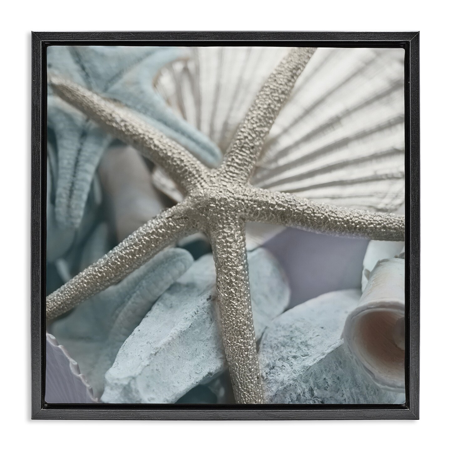 Stupell Industries Seashells &#x26; Starfish Framed Floater Canvas Wall Art Design by Susan Bryant