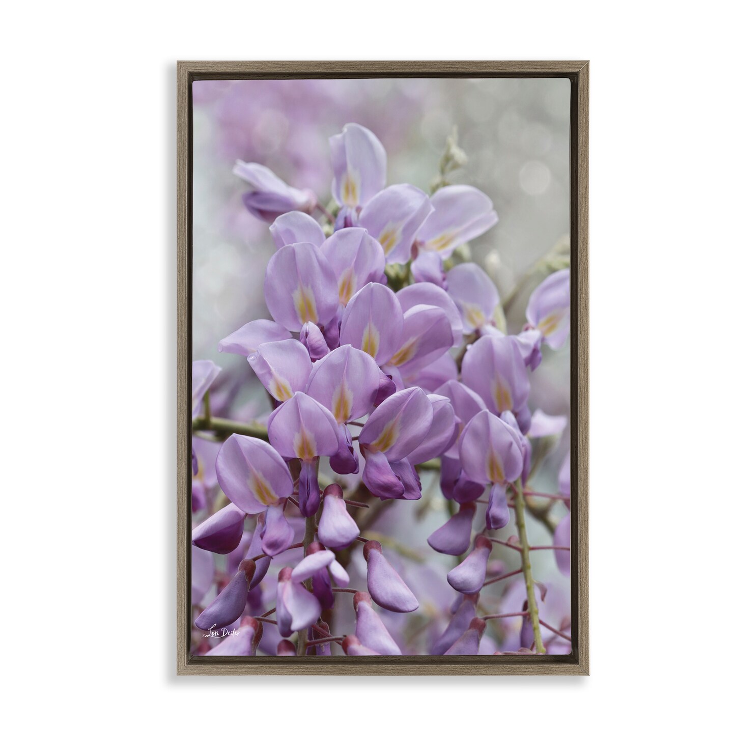 Stupell Industries Purple Orchid Petals Framed Floater Canvas Wall Art Design by Lori Deiter