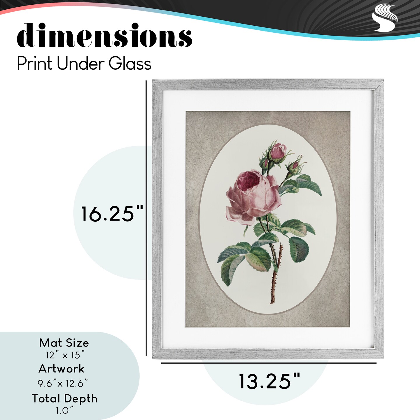 Stupell Industries Vintage Rose within Oval Framed Print Under Glass, design by Lettered and Lined