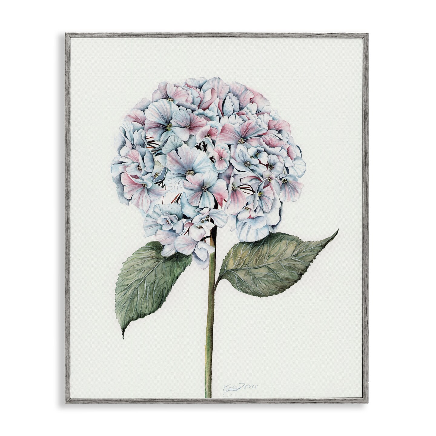 Stupell Industries Round Hydrangea Bulb Framed Giclee, design by Cady Driver