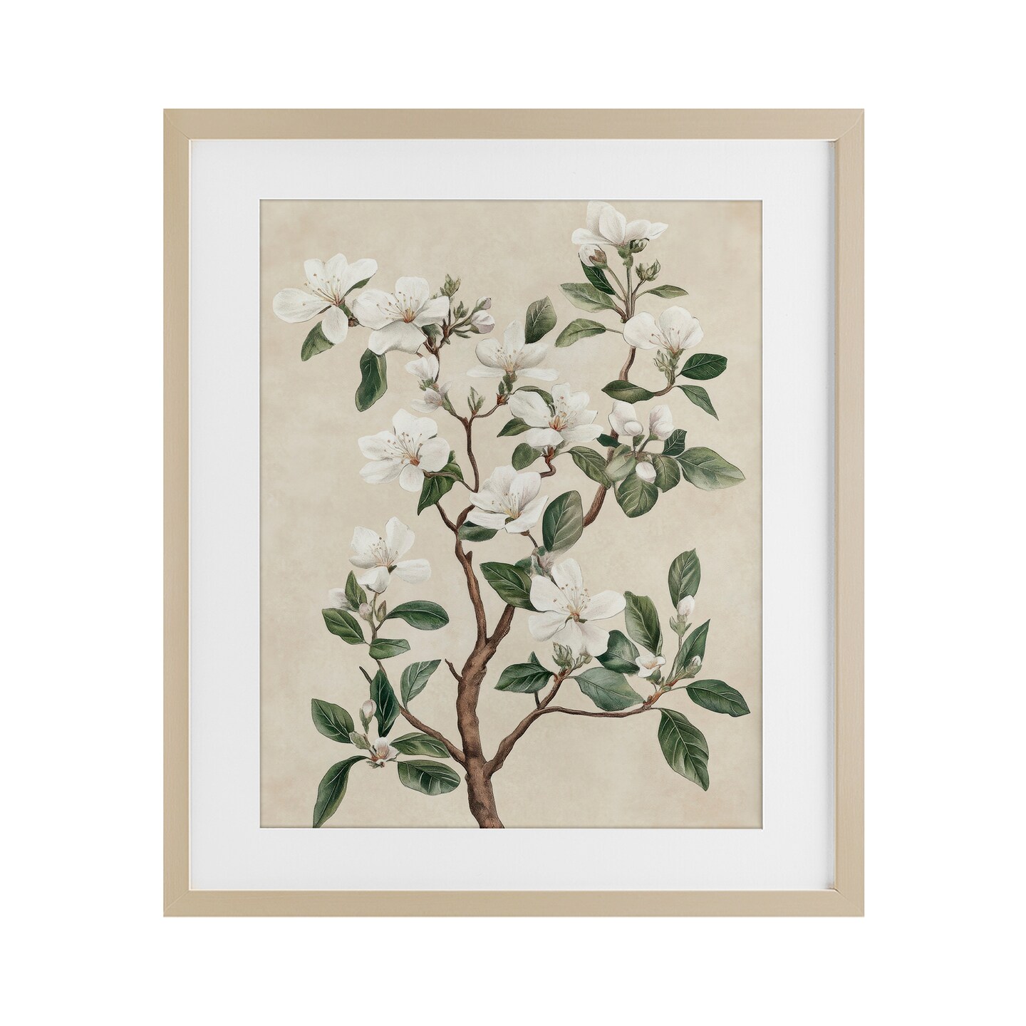 Stupell Industries White Floral Blossom Tree Framed Print Under Glass, design by Petal Prints Design