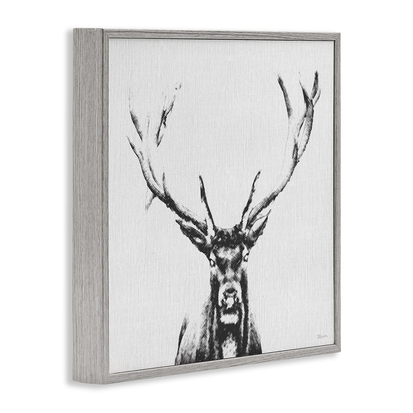 Stupell Industries Stag Sketch in Grey Framed Giclee Wall Art Design by Katrina Craven