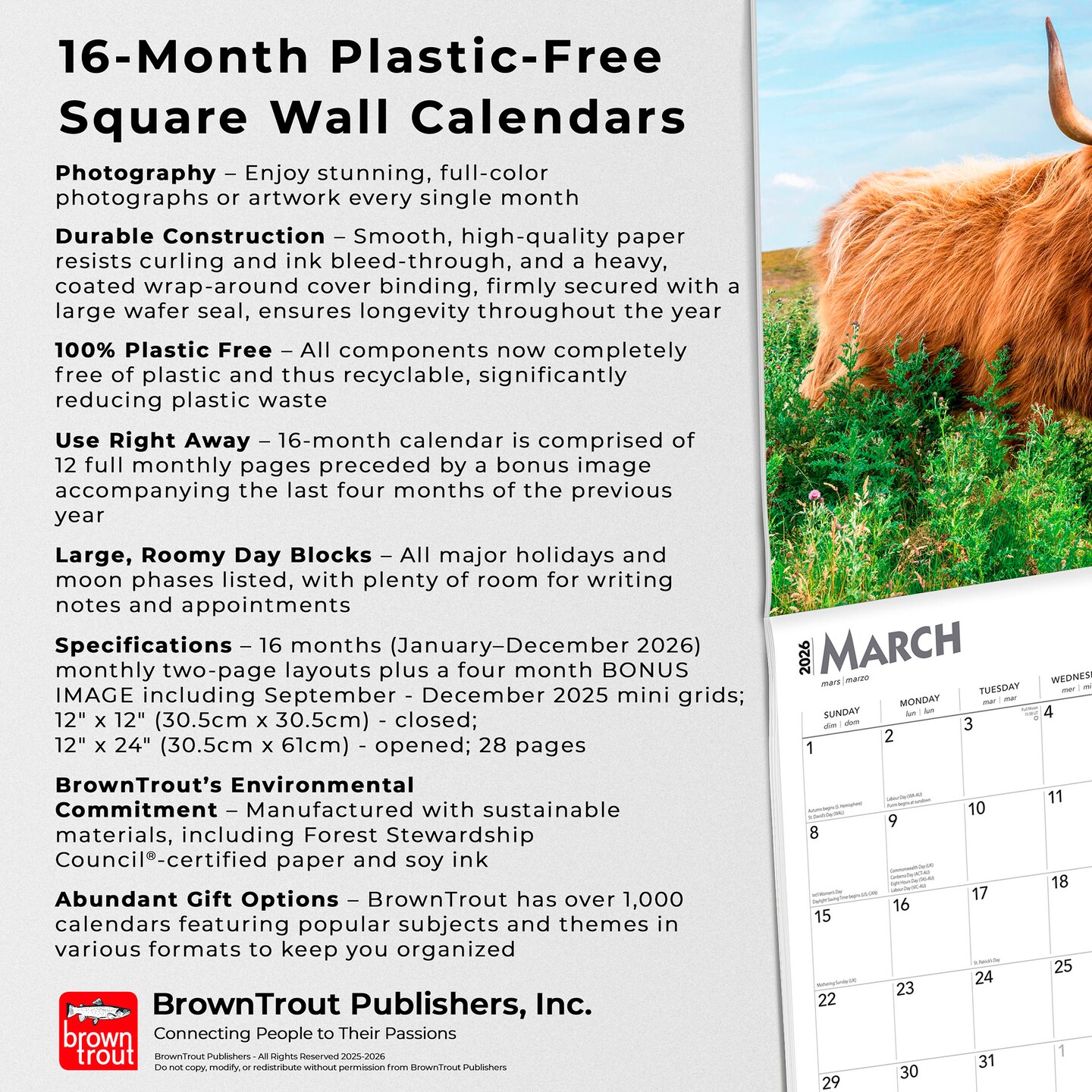 Highland Cows | 2026 12 x 24 Inch (Hanging) Monthly Square Wall Calendar | Plastic-Free