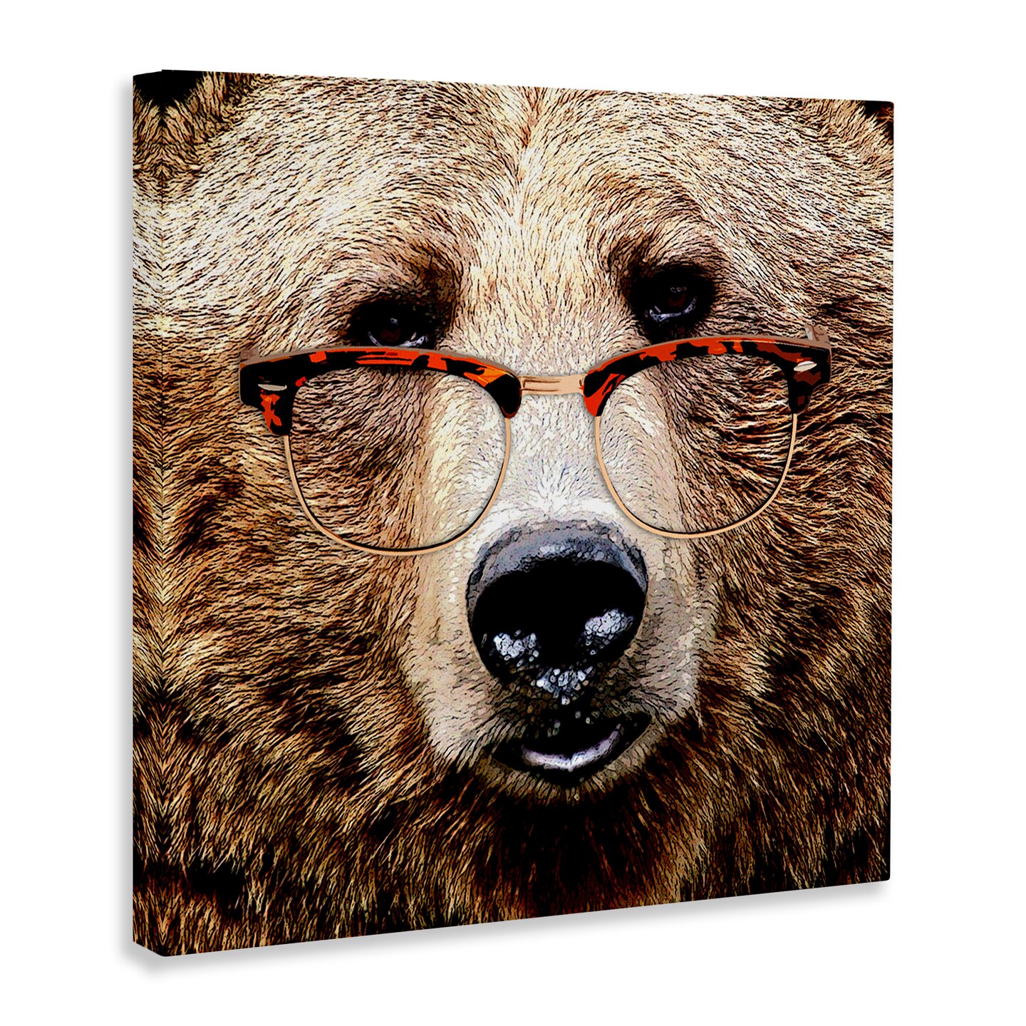 Stupell Industries Grizzly Bear with Glasses Canvas Wall Art