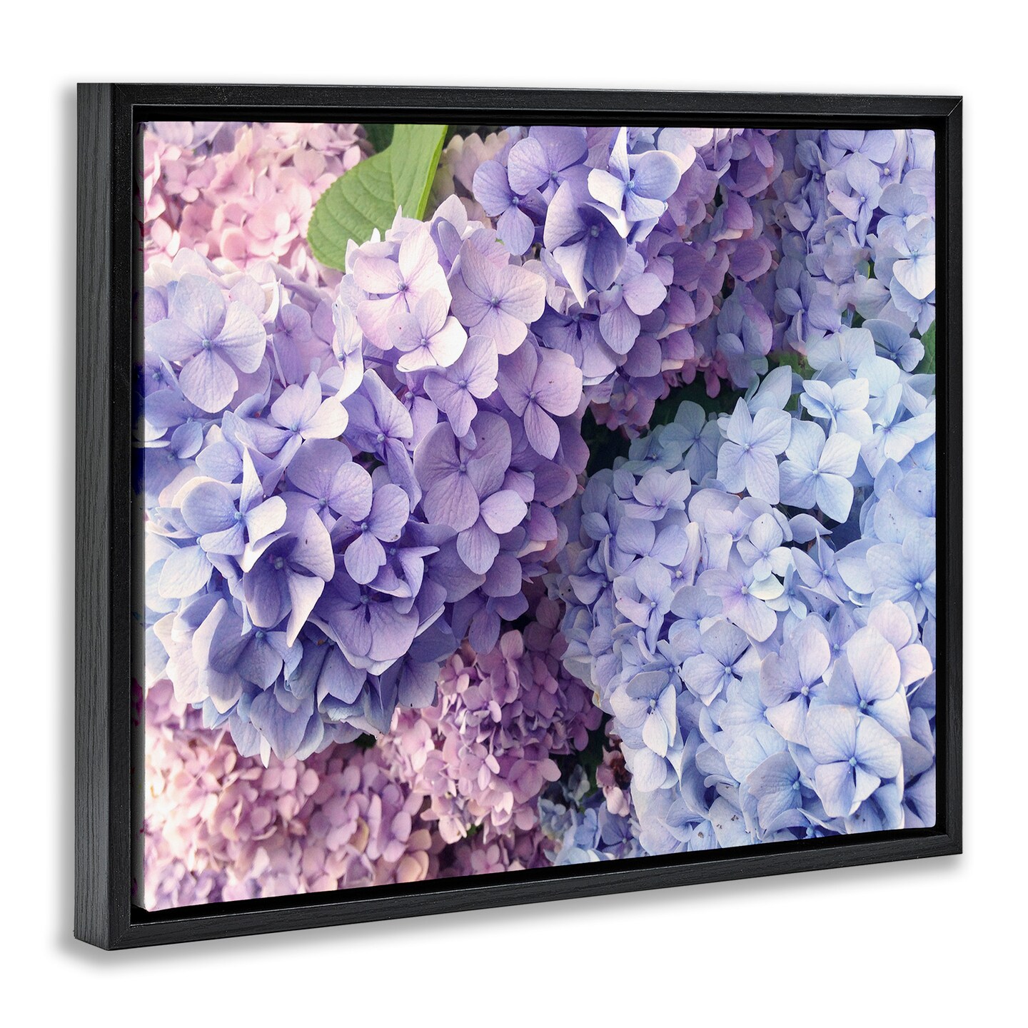 Stupell Industries Pastel Hydrangea Flower Petals Framed Floater Canvas Wall Art