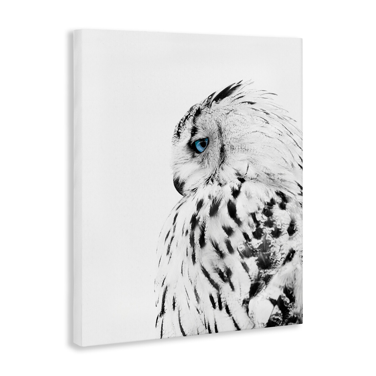 Stupell Industries Snow Owl Peering Blue Eyes Canvas Wall Art