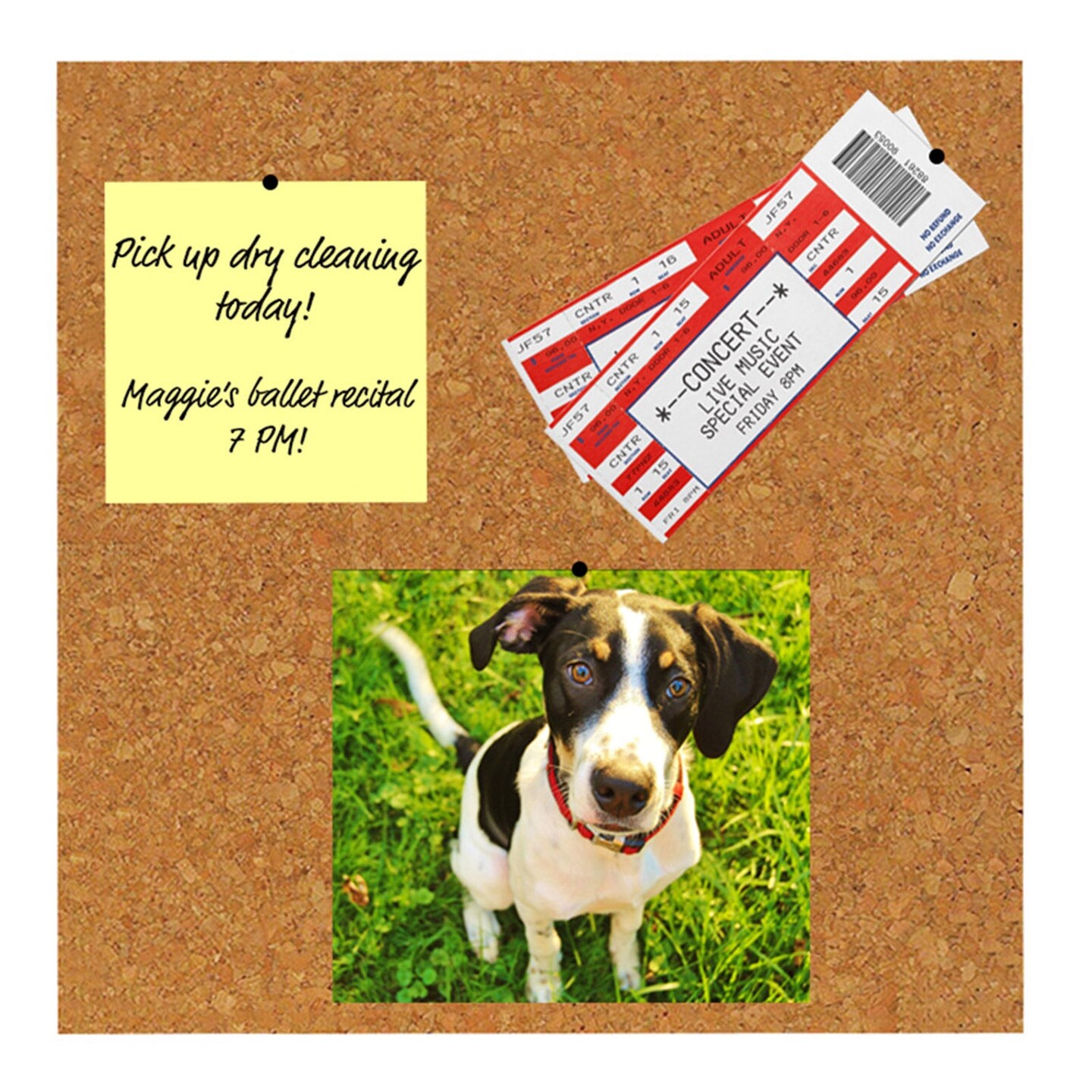 Cork Tiles, 12&#x22; x 12&#x22;, Set of 4