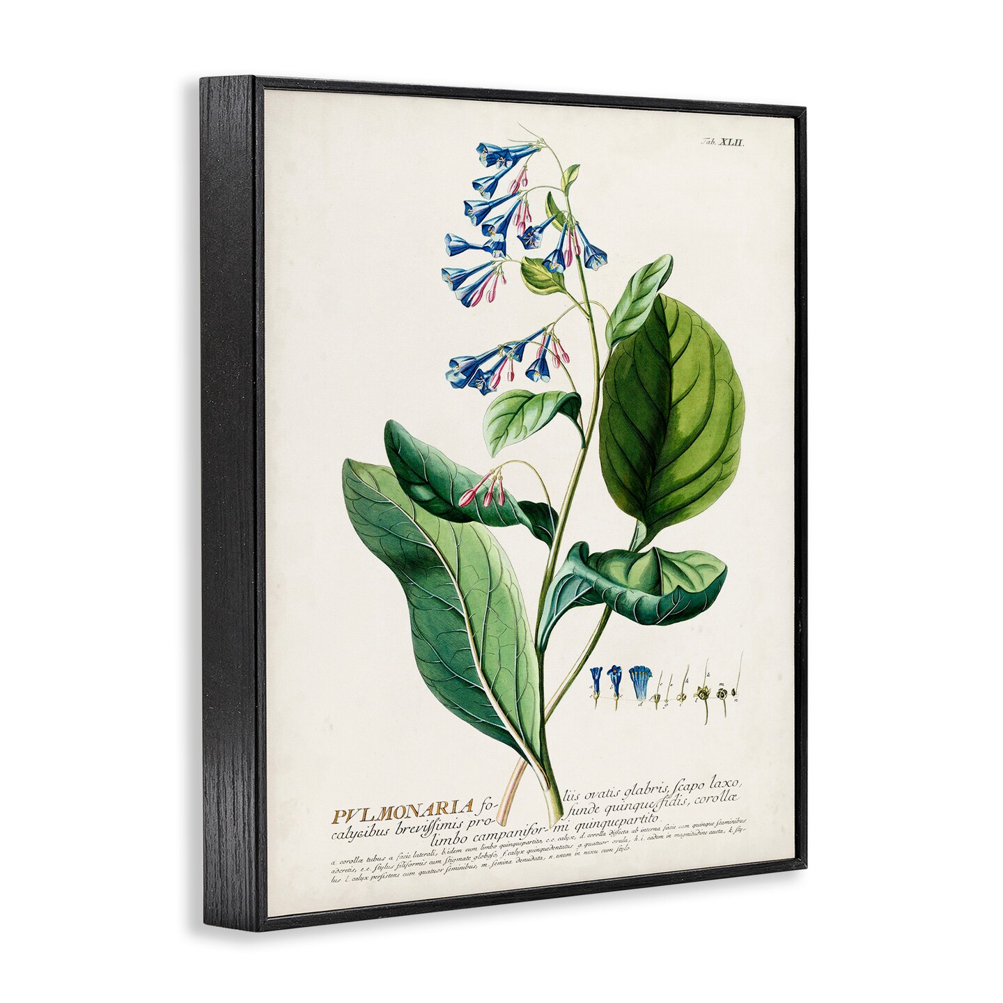 Stupell Industries Botanical Blue Flowers Vintage Design Framed Giclee Art