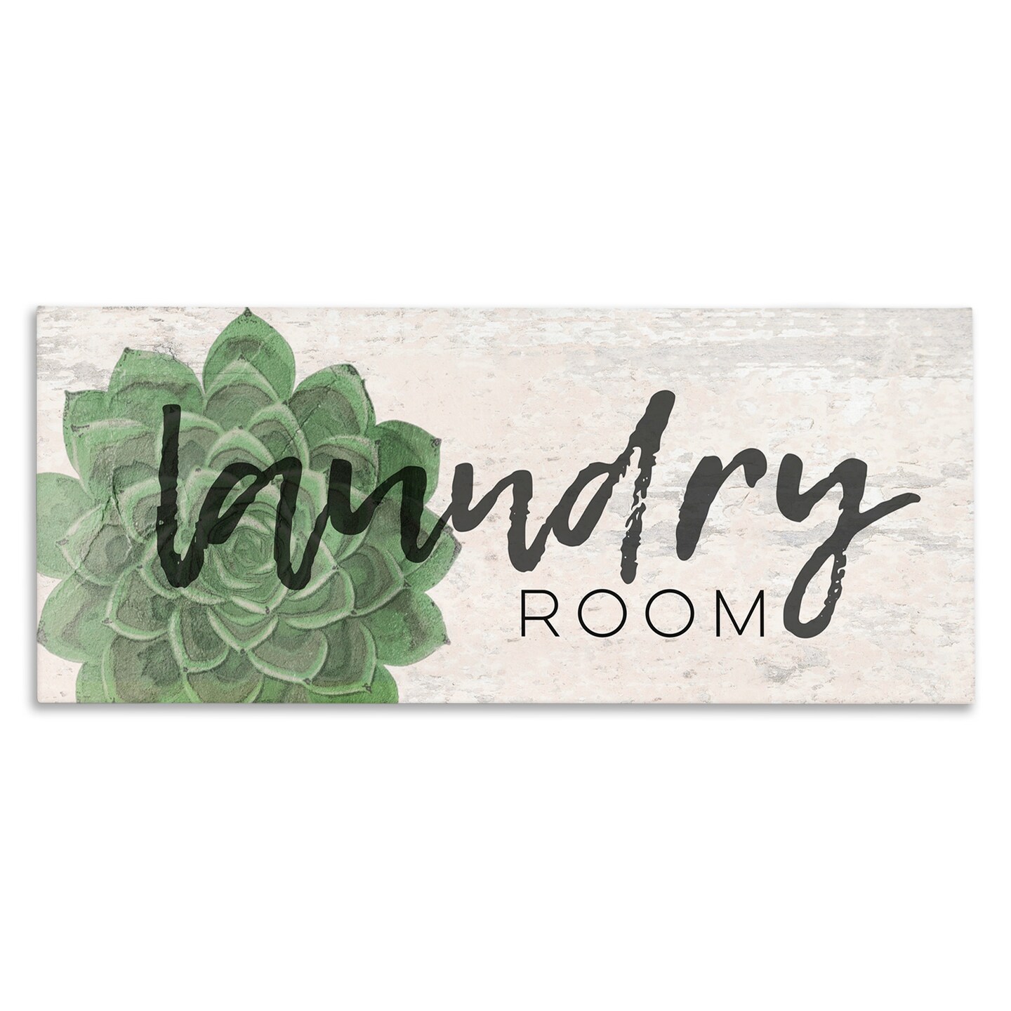 Stupell Industries Laundry Room Green Succulent Canvas Wall Art