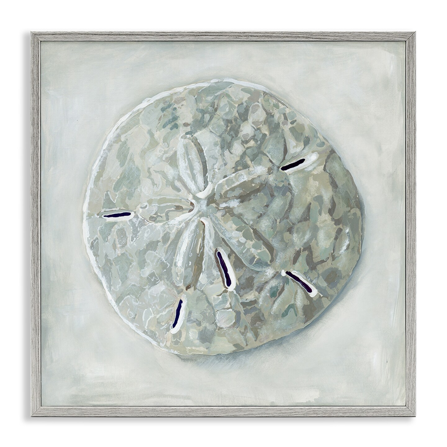 Stupell Industries Grey Sand Dollar Seashell Framed Giclee Art