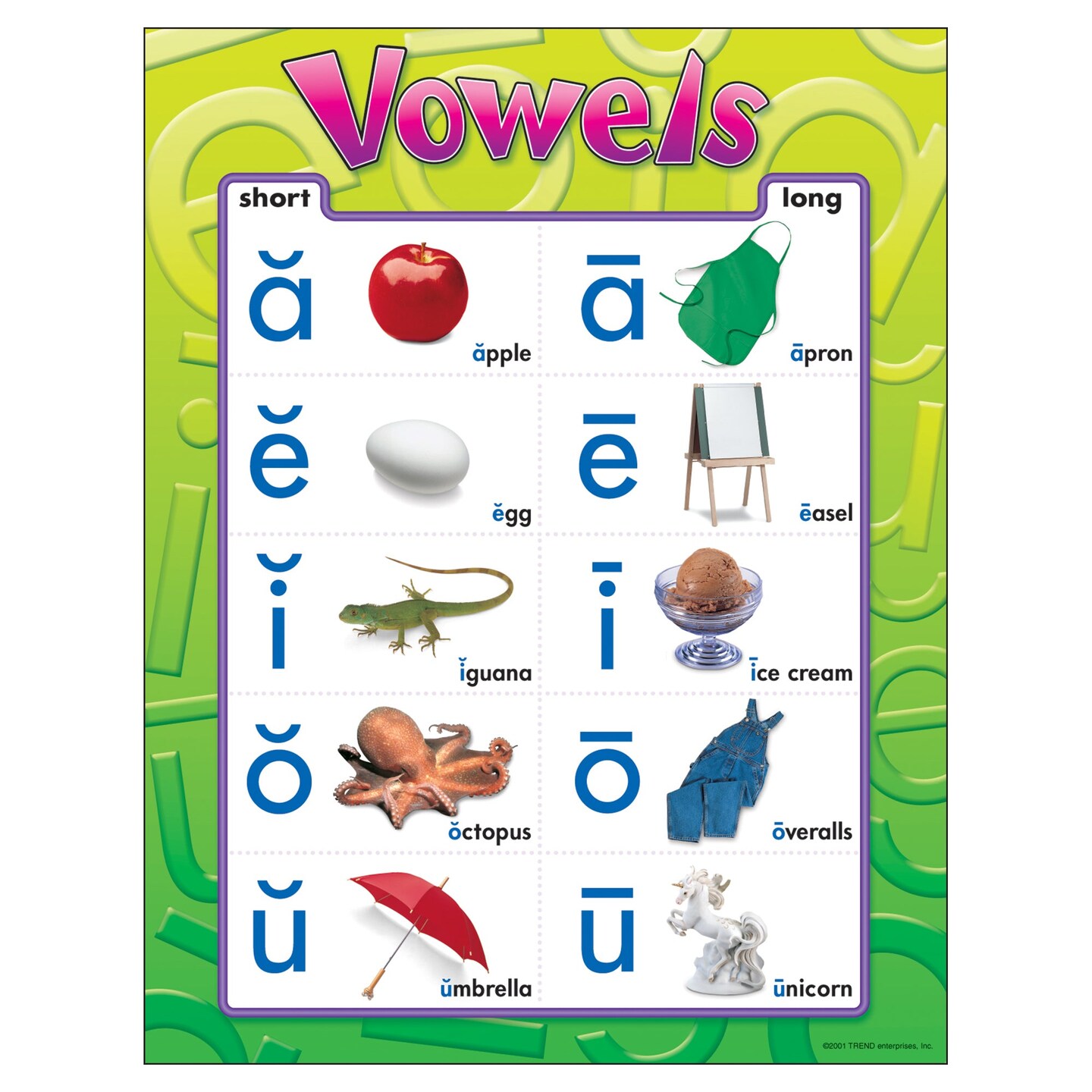 Vowels Learning Chart, 17&#x22; x 22&#x22;