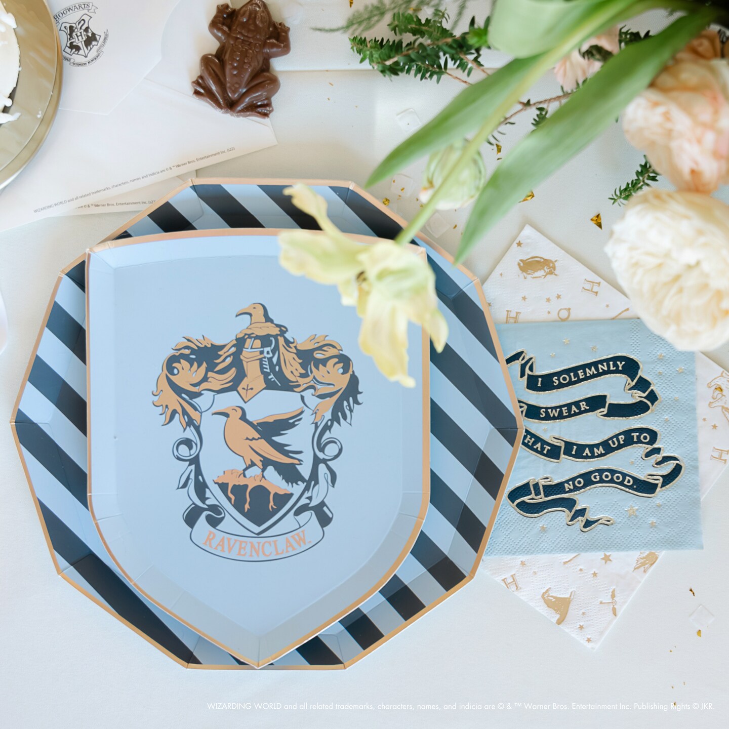 HARRY POTTER X BONJOUR FETE HOUSE PRIDE LARGE PARTY NAPKINS