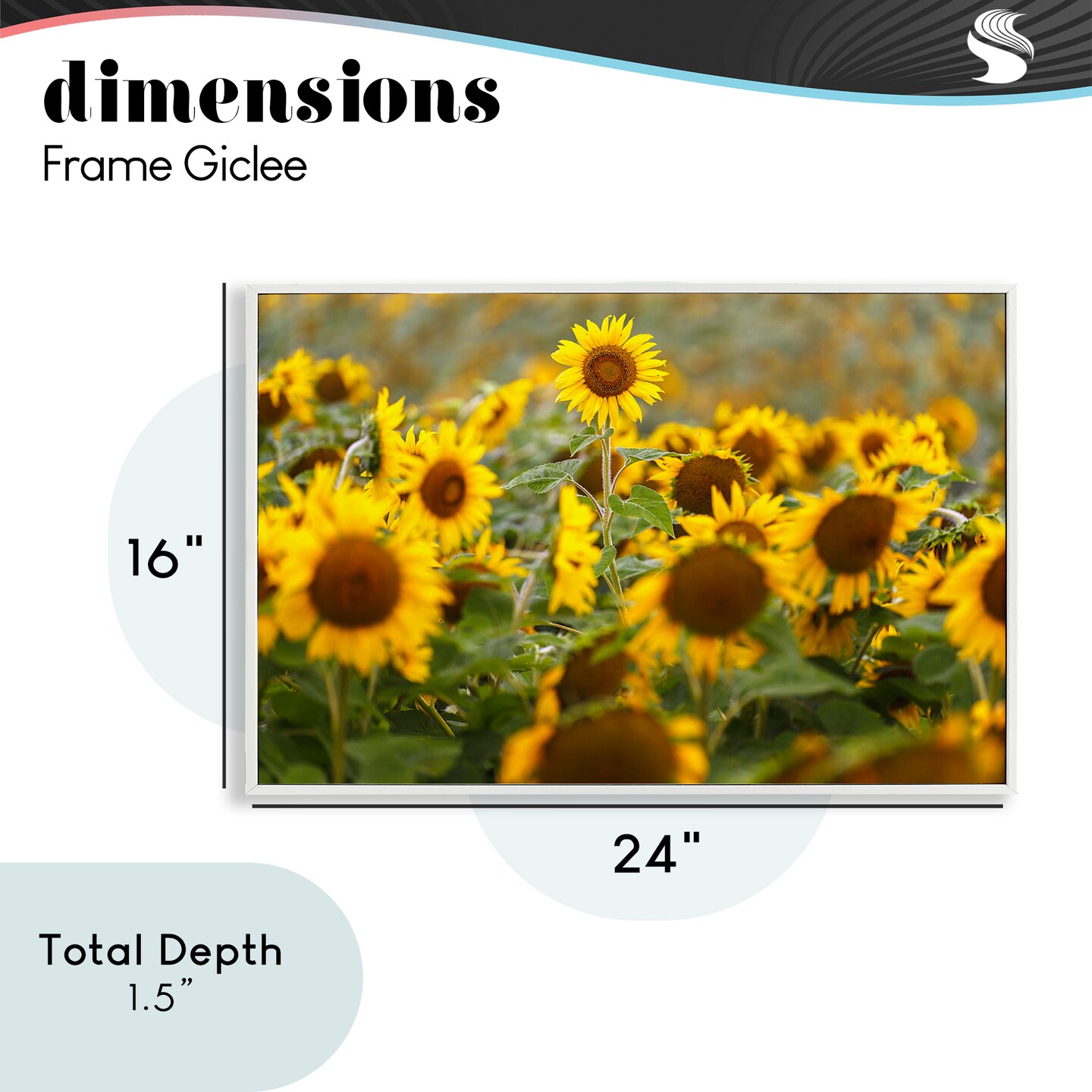 Stupell Industries Central Sunflower in Meadow Framed Giclee, design by Andy Crawford