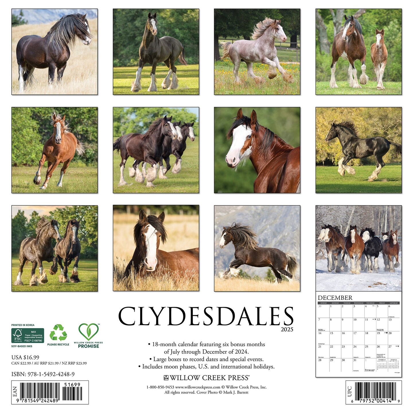 Clydesdales 2025 Wall Calendar