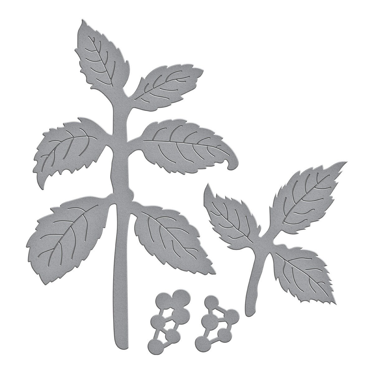 Spellbinders Etched Dies By Susan Tierney-Cockburn-Black Alder