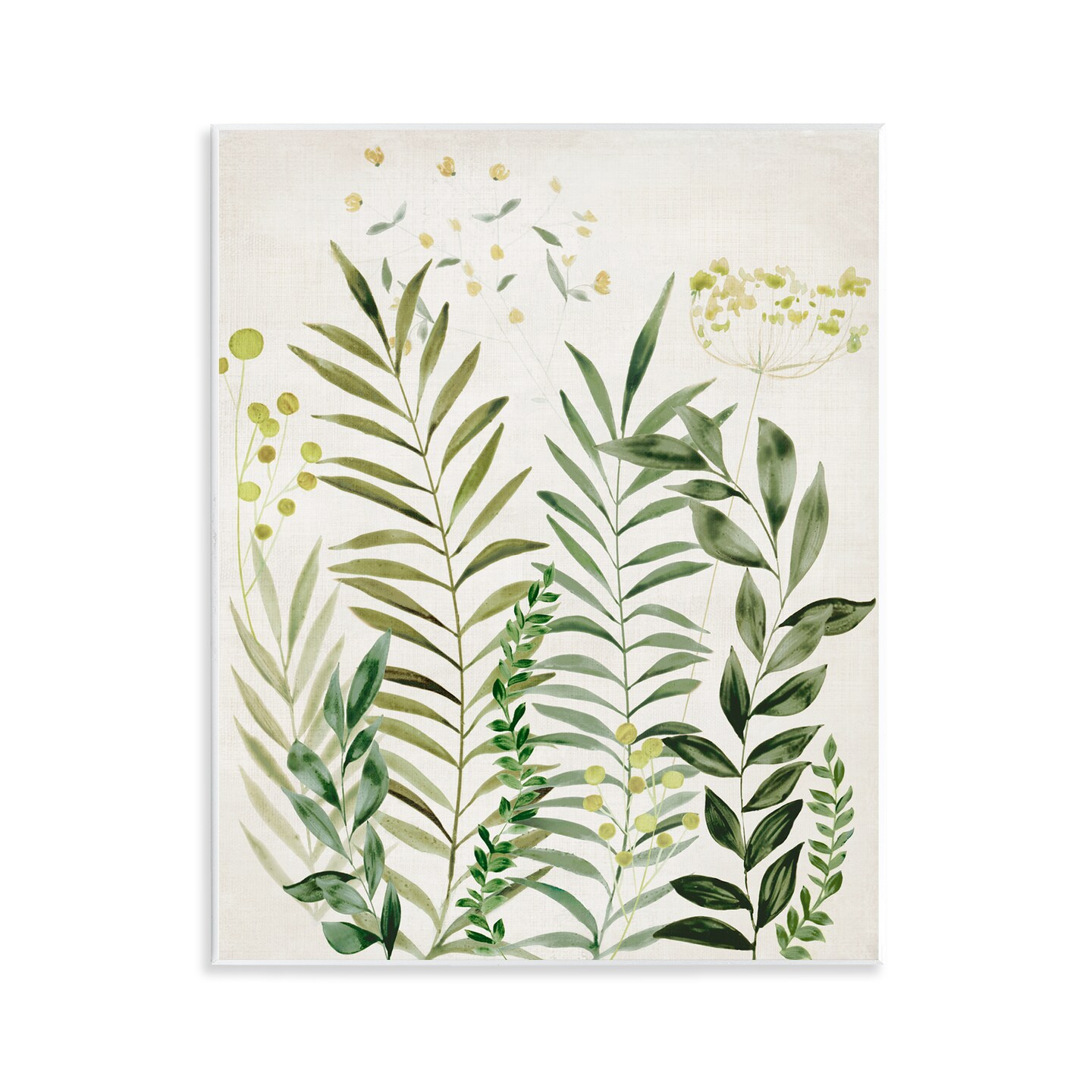 Stupell Industries Delicate Herbs & Leaves Wall Plaque Art Design by Hannah Dawson