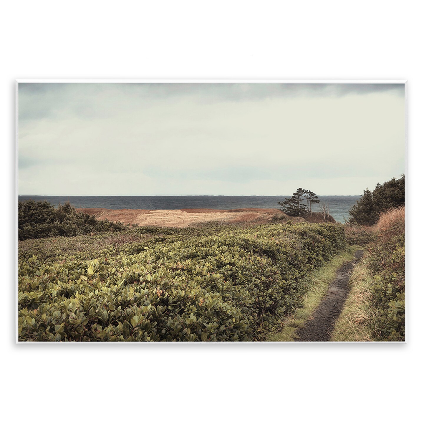 Stupell Industries Serene Coastal Pathway Wall Plaque Art Design by Andy Amos