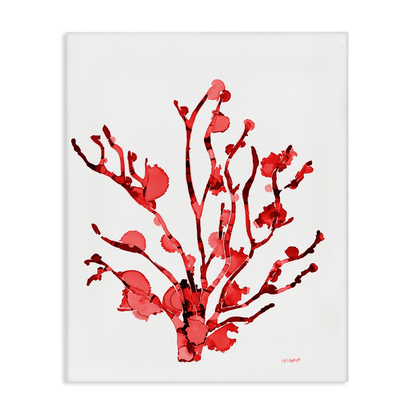 Stupell Industries Coral With Splashes Canvas Wall Art Design by Patti Mann