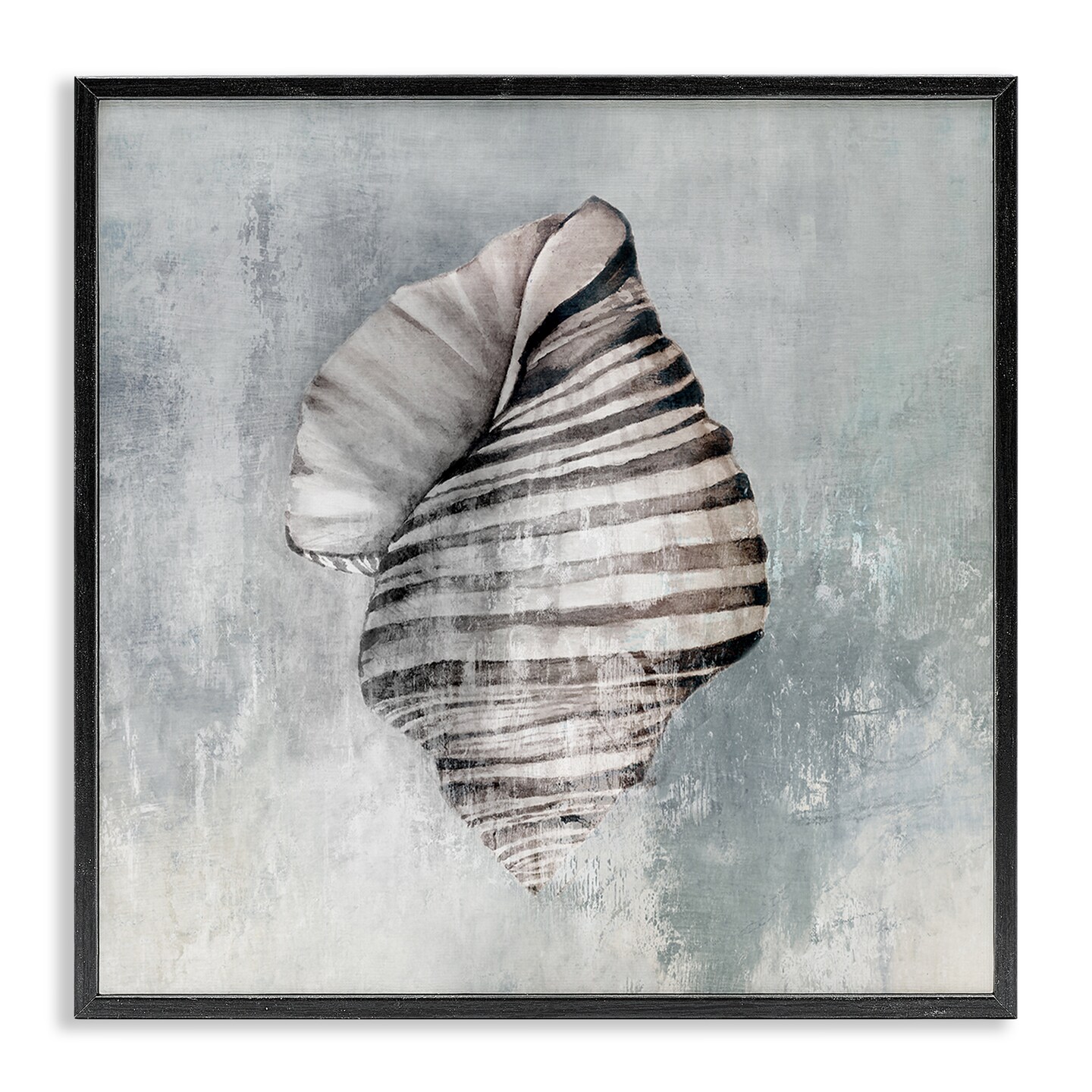 Stupell Industries Organic Twisted Seashell Framed Giclee Wall Art Design by Eli Jones